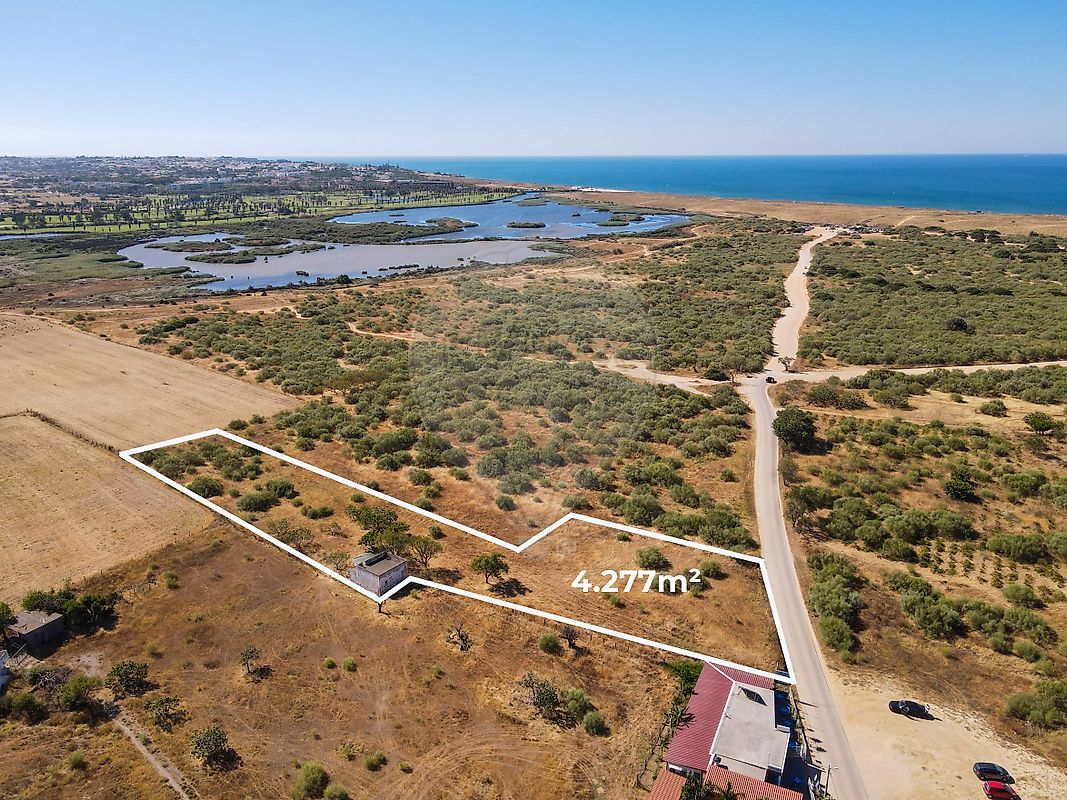 Terreno - Alcantarilha e Pêra, Silves, Faro