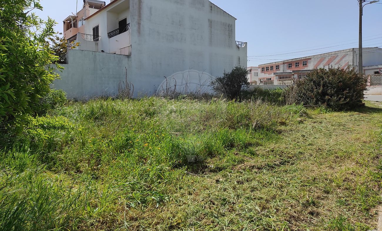 Land for sale in Silves, Portugal — €239,000