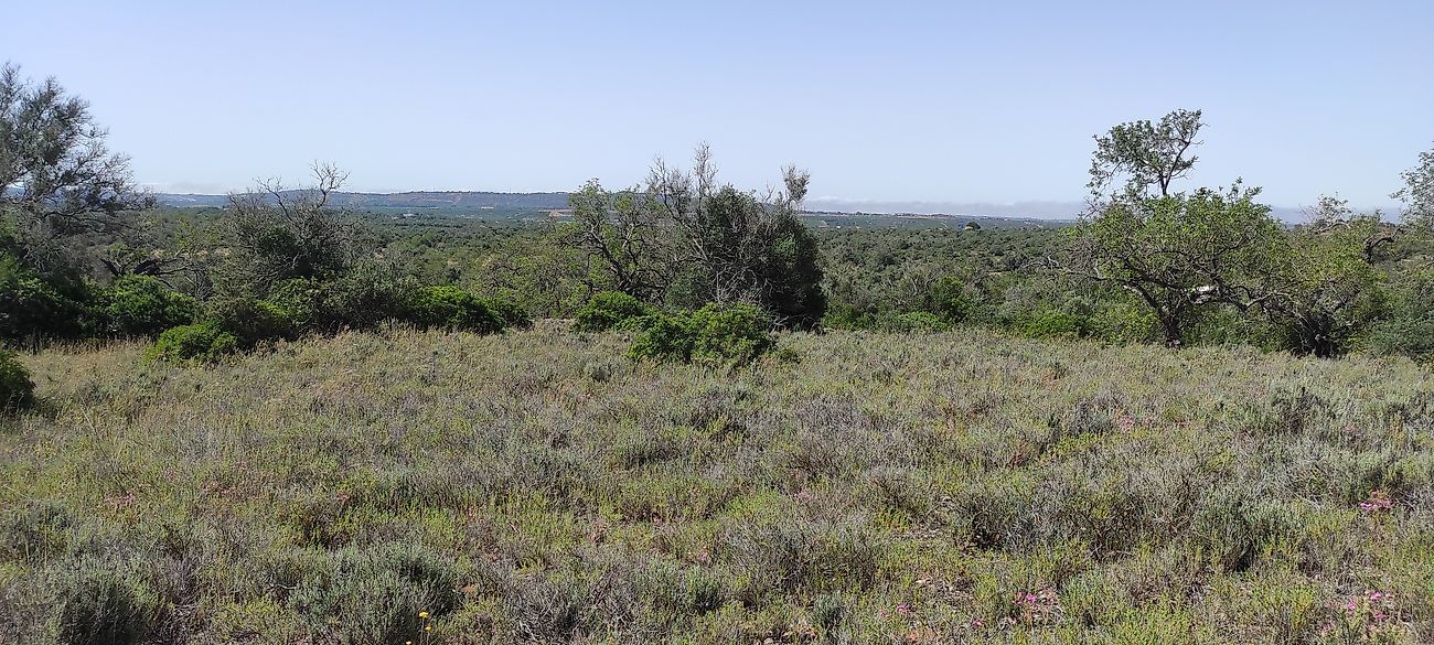 Terreno à venda em Silves
