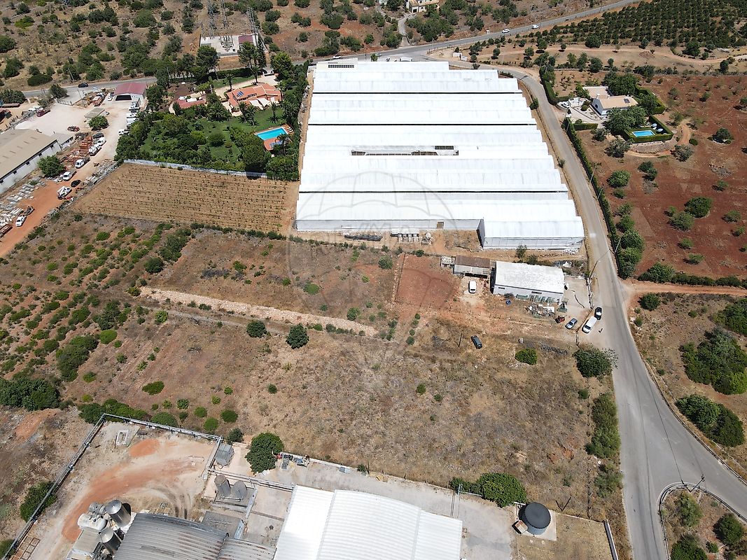 listing 121601222-14 picture-0