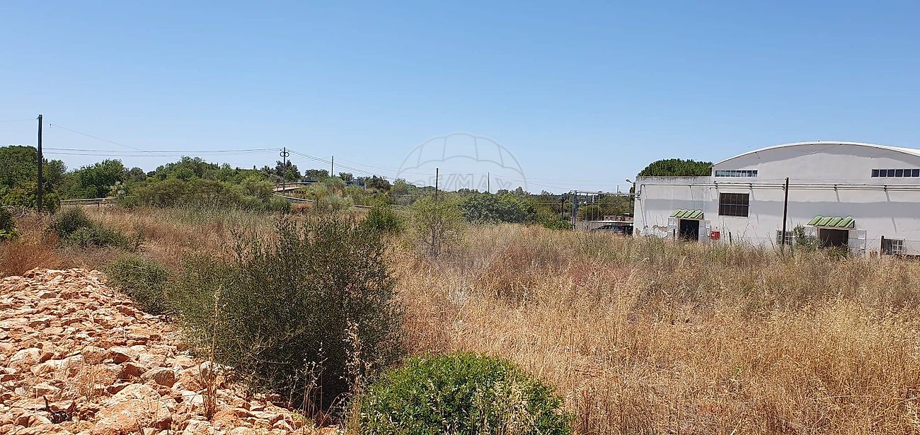 listing 121601222-14 picture-0