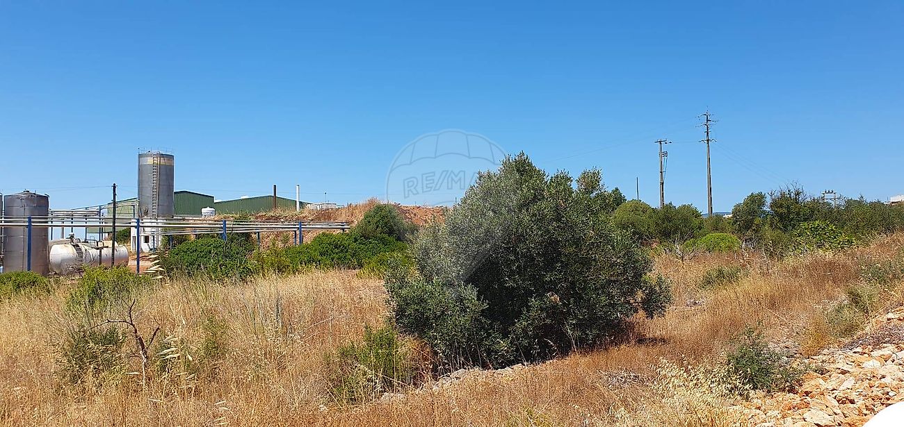 listing 121601222-14 picture-0