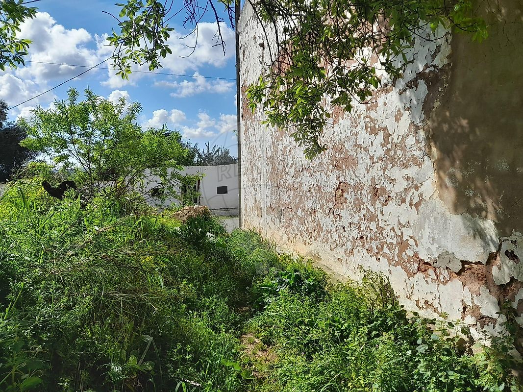 Moradia T3 à venda em São Bartolomeu de Messines, Silves — foto 7