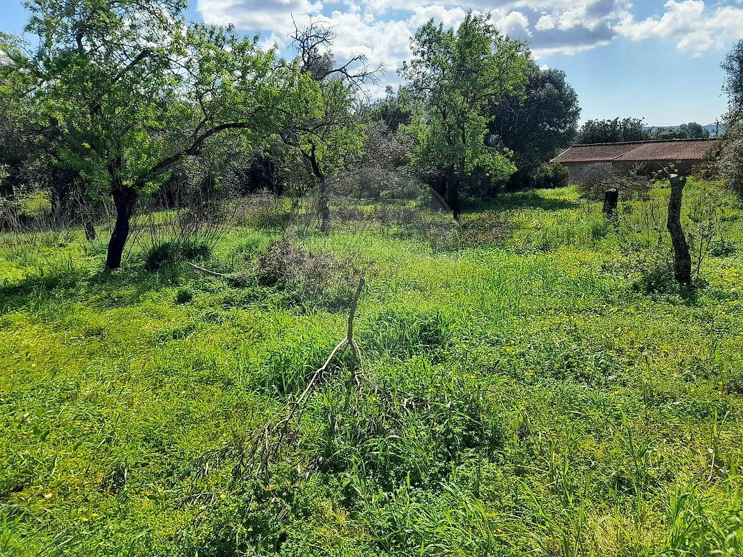 Moradia T3 à venda em São Bartolomeu de Messines, Silves — foto 8