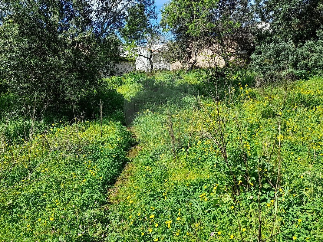 Moradia T3 à venda em São Bartolomeu de Messines, Silves — foto 11