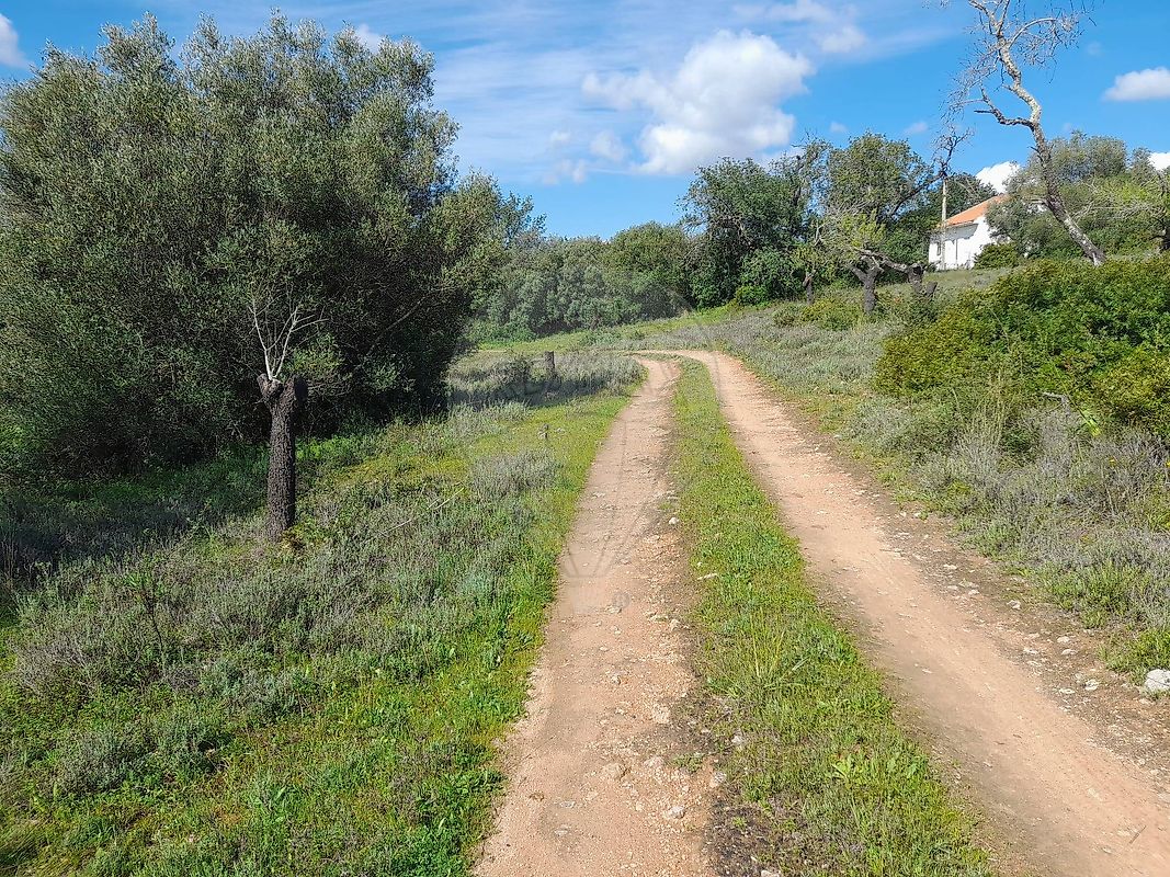 Moradia T3 à venda em São Bartolomeu de Messines, Silves — foto 9