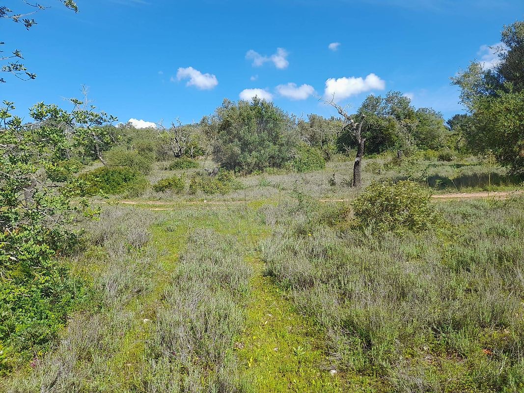 Moradia T3 à venda em São Bartolomeu de Messines, Silves — foto 12