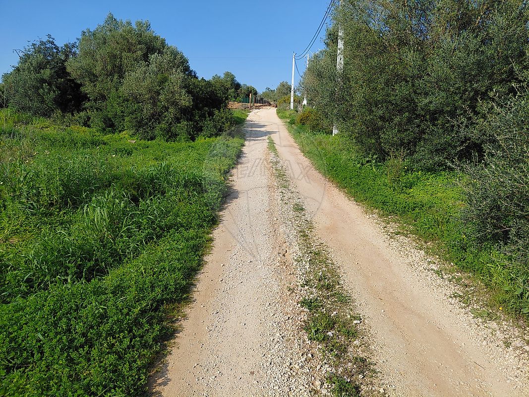 Terreno à venda em Silves