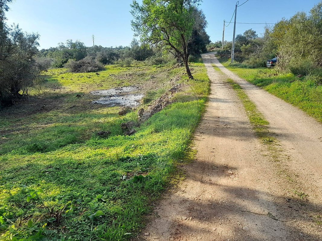 Terreno - Silves, Silves, Faro