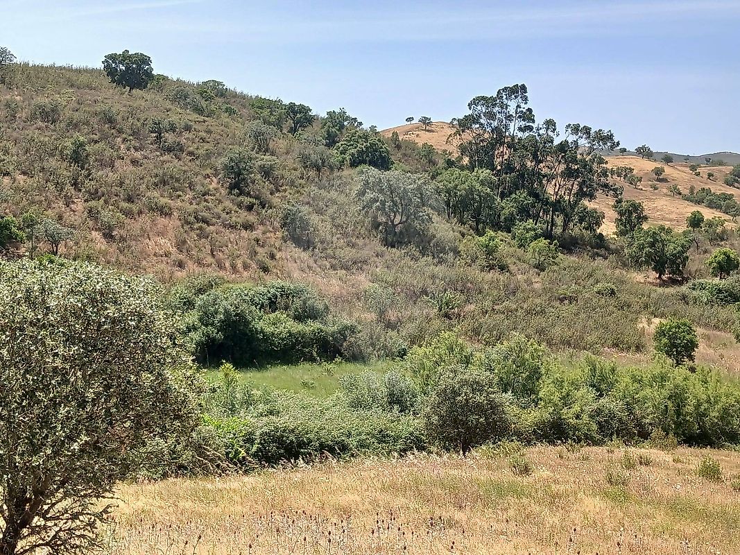 Moradia T2 à venda em Santa Clara-a-Velha, Odemira — foto 34