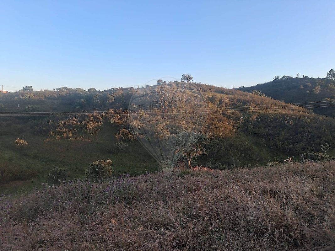Moradia T2 à venda em Santa Clara-a-Velha, Odemira — foto 16