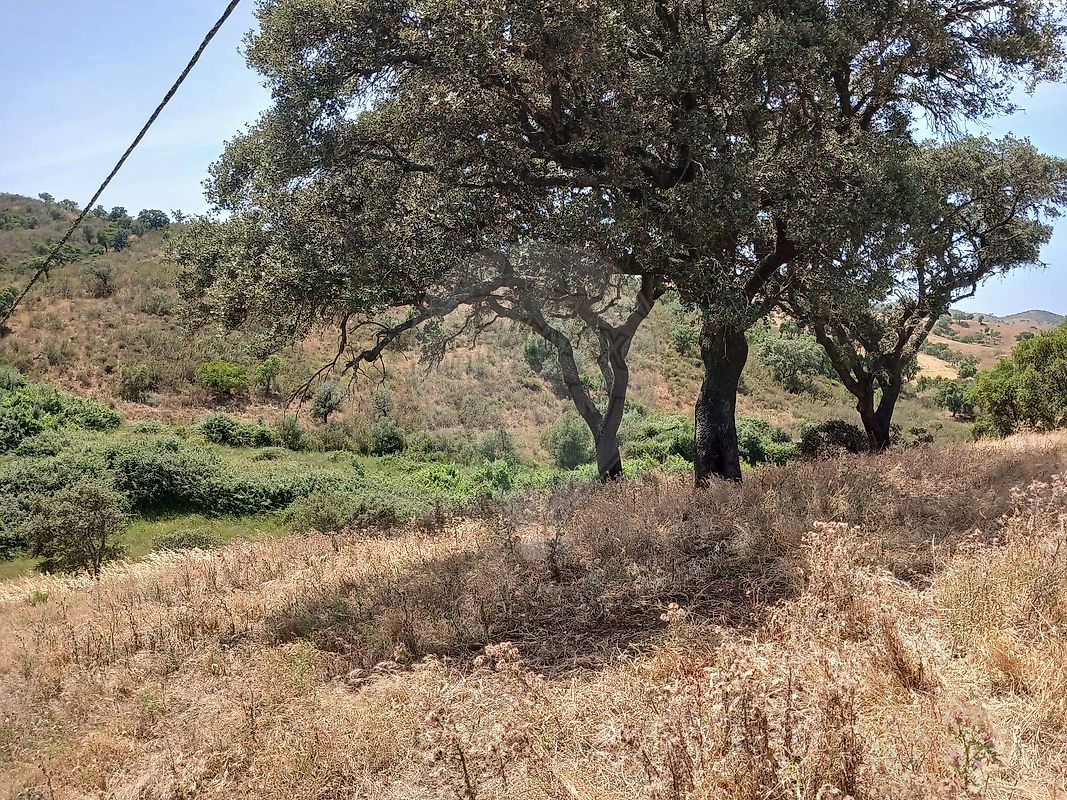 Moradia T2 à venda em Santa Clara-a-Velha, Odemira — foto 35