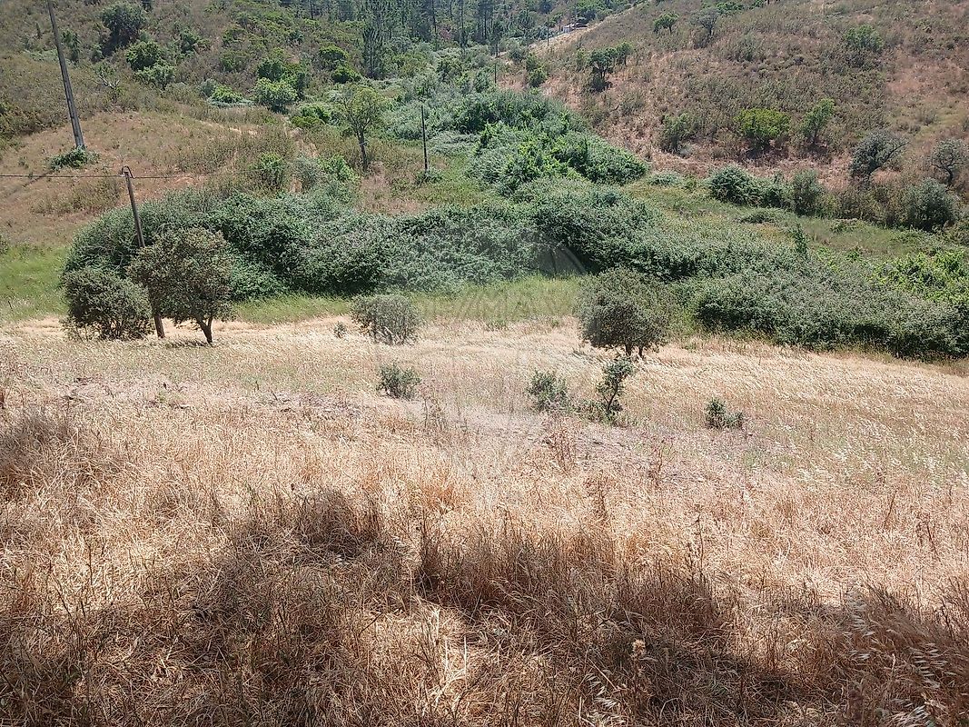 Moradia T2 à venda em Santa Clara-a-Velha, Odemira — foto 33