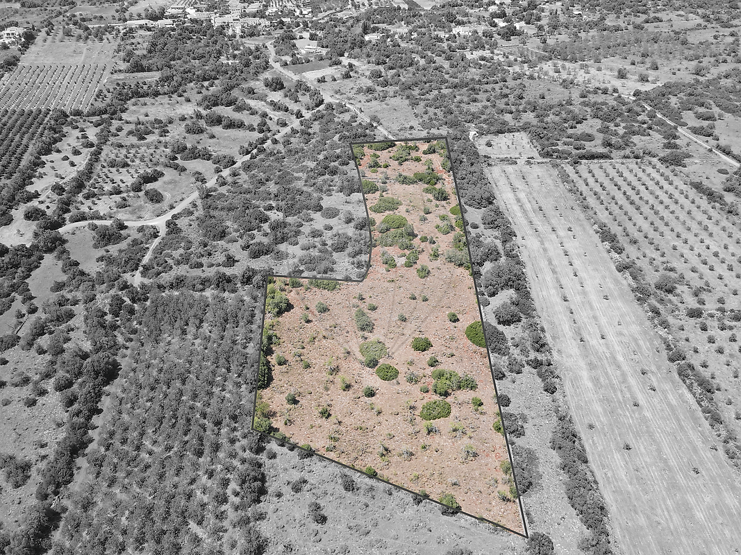Terreno - São Bartolomeu de Messines, Silves, Faro