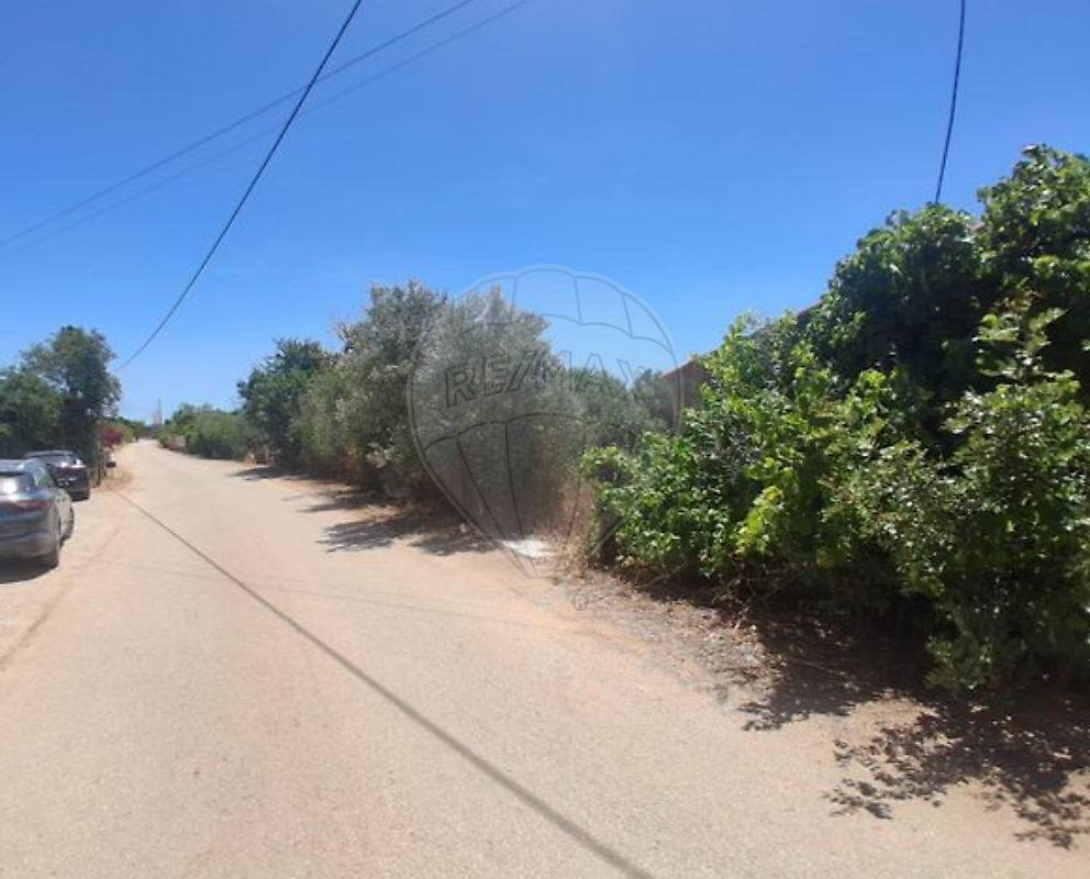 Terreno - Algoz e Tunes, Silves, Faro