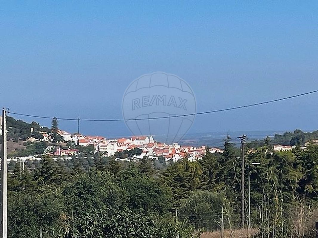 listing 126731074-1 picture-0