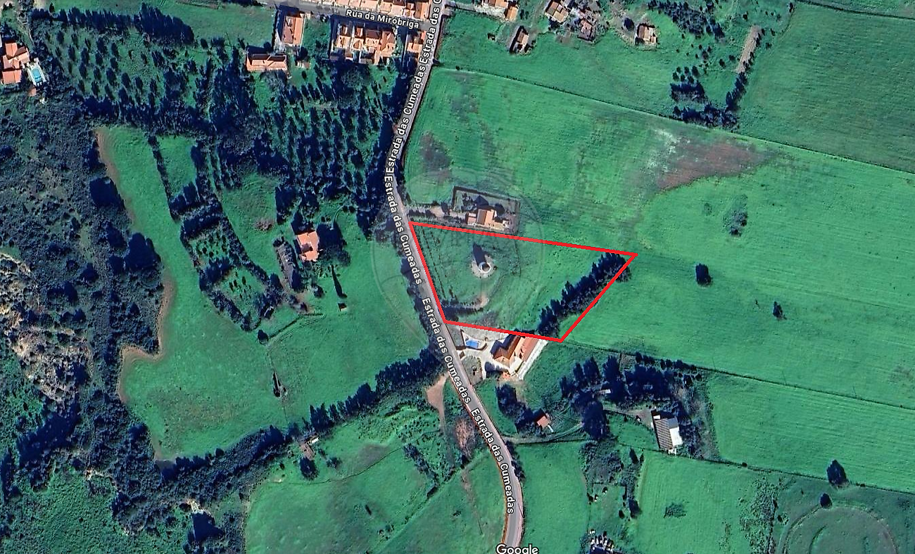 listing 126731074-1 picture-0