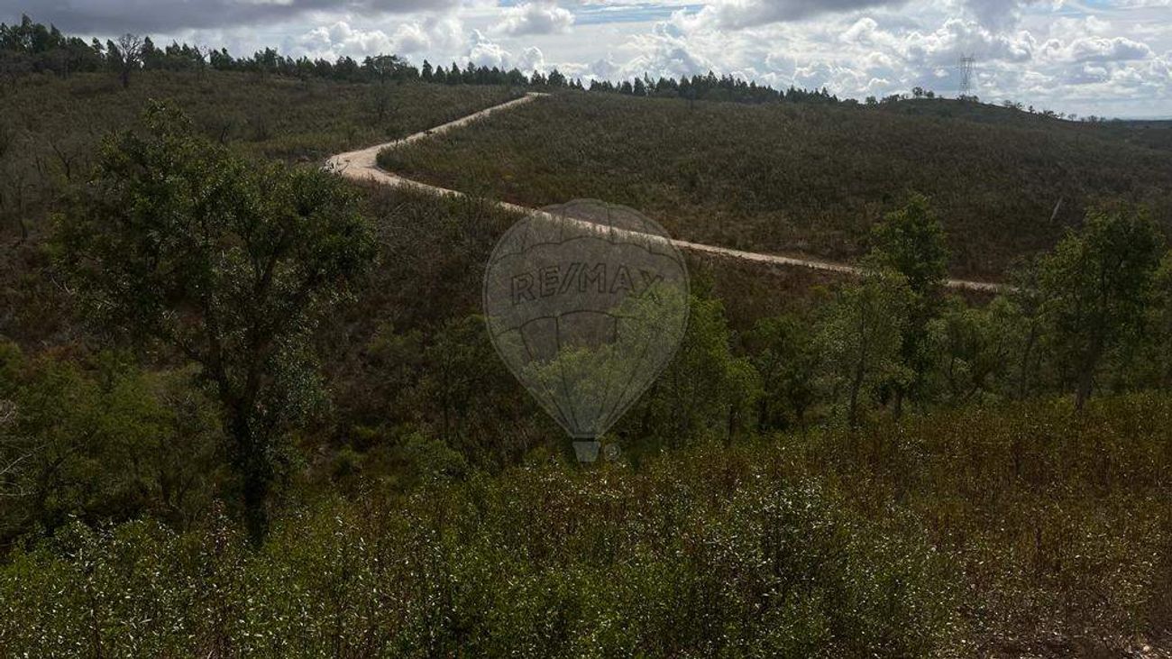 listing-picture-0