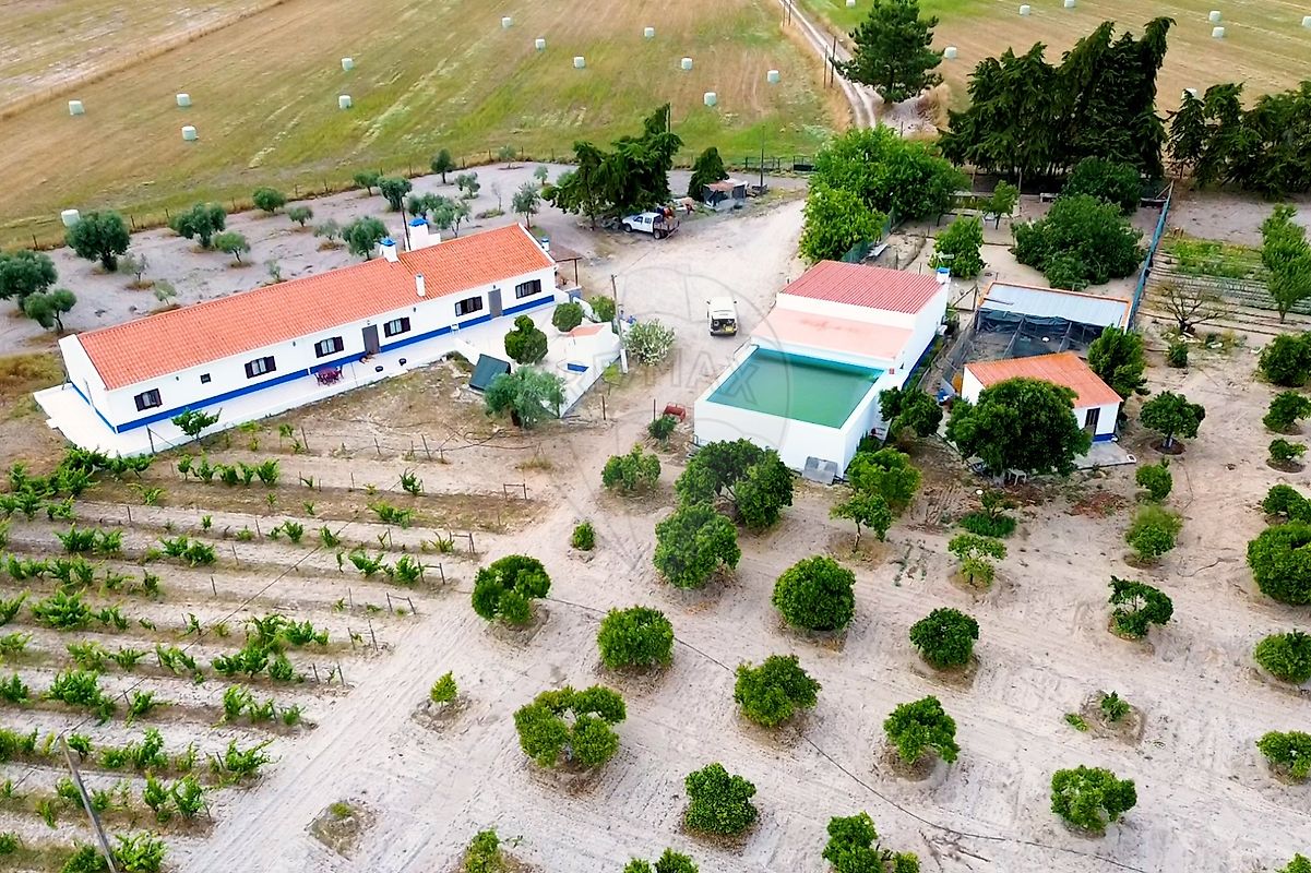 Quinta T1 à venda em Água Derramada