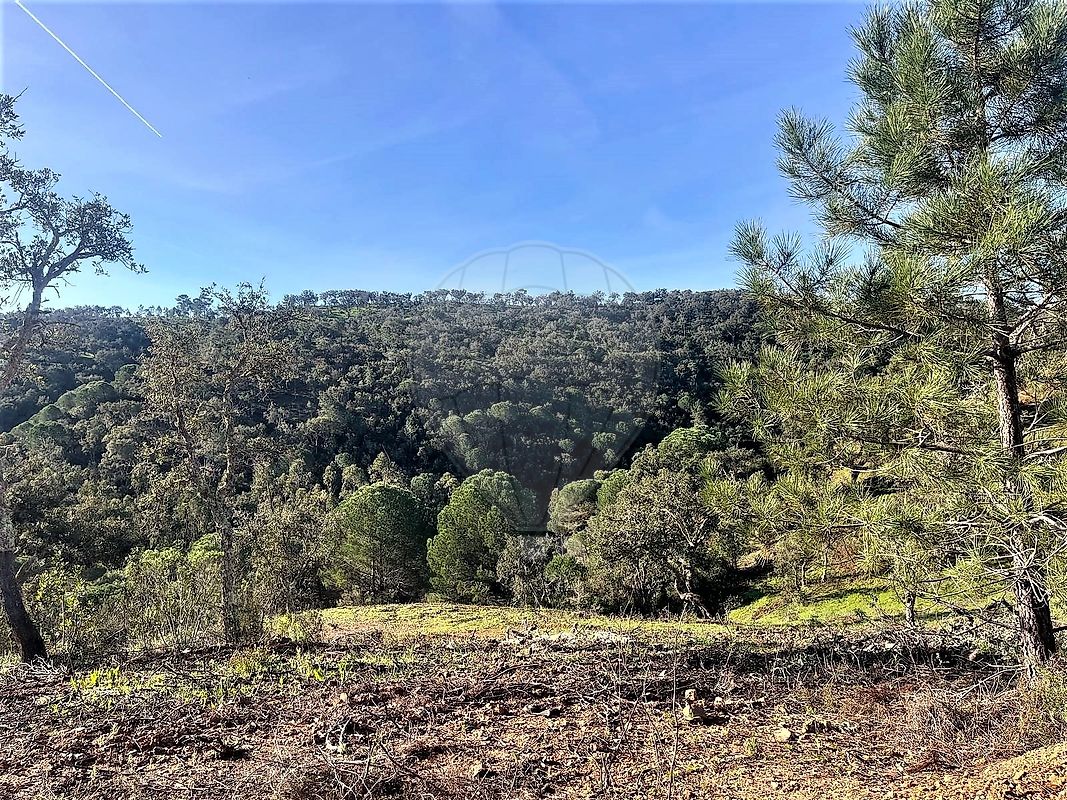 Terreno à venda em Grândola