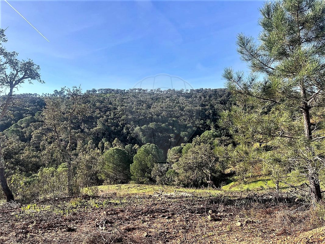 Land for sale in Grândola, Portugal — €1,700,000