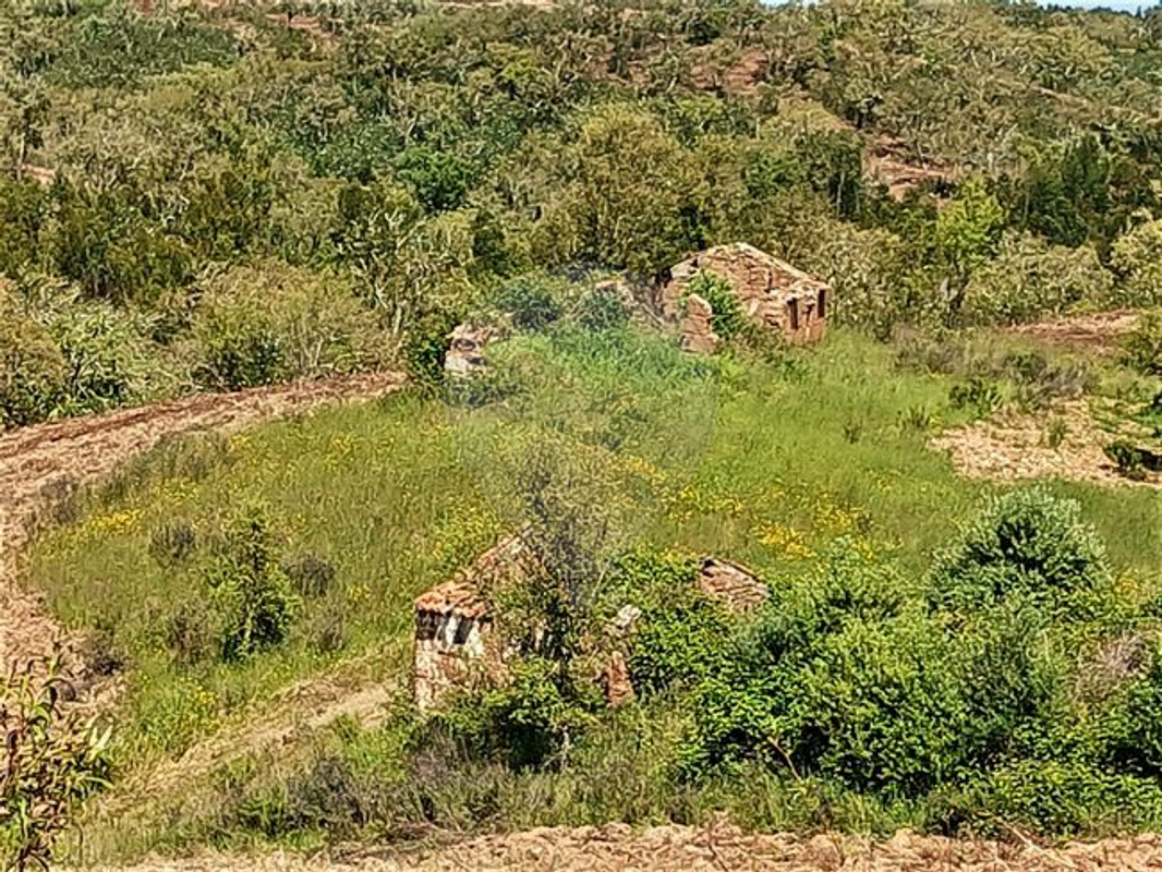 Terreno  para venda