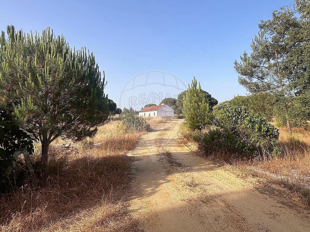 Terreno  à venda em Grândola