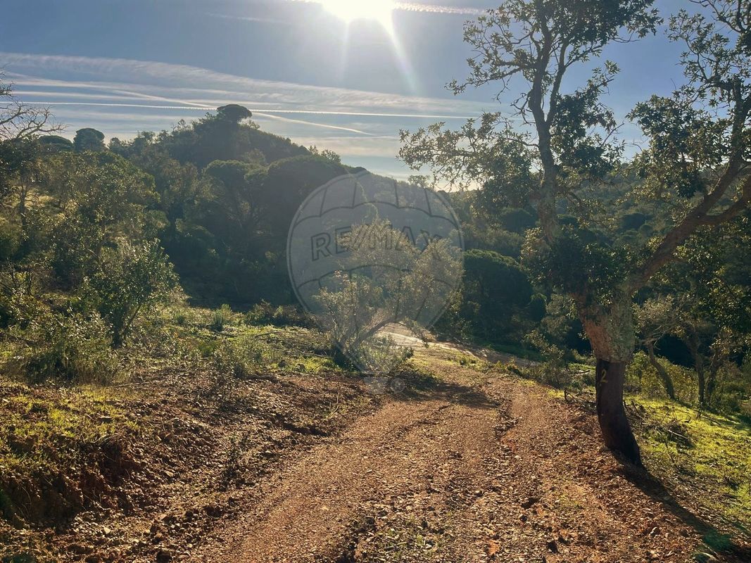 Terreno para venda