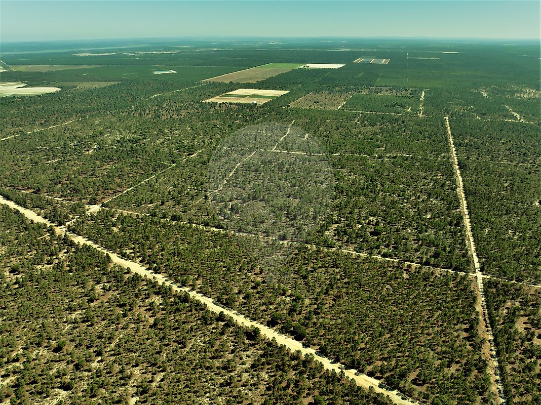 Terreno para venda