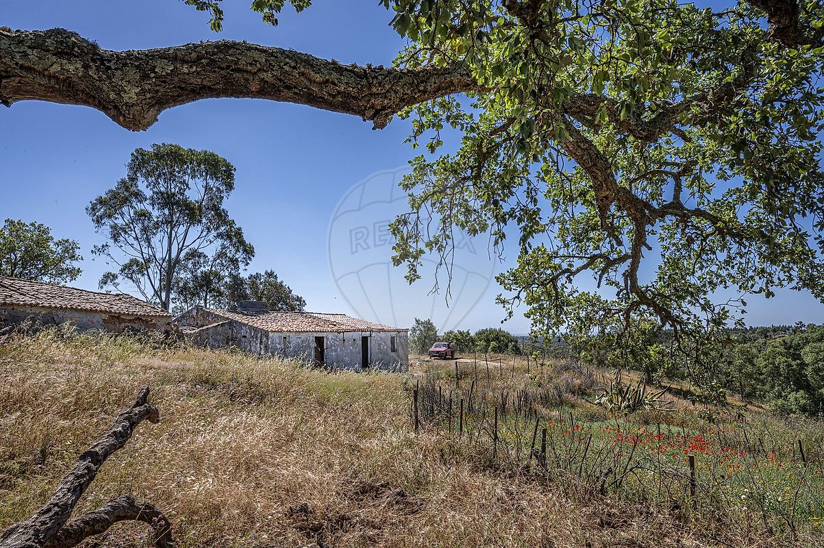 Quinta - São Francisco da Serra, Santiago do Cacém, Setúbal