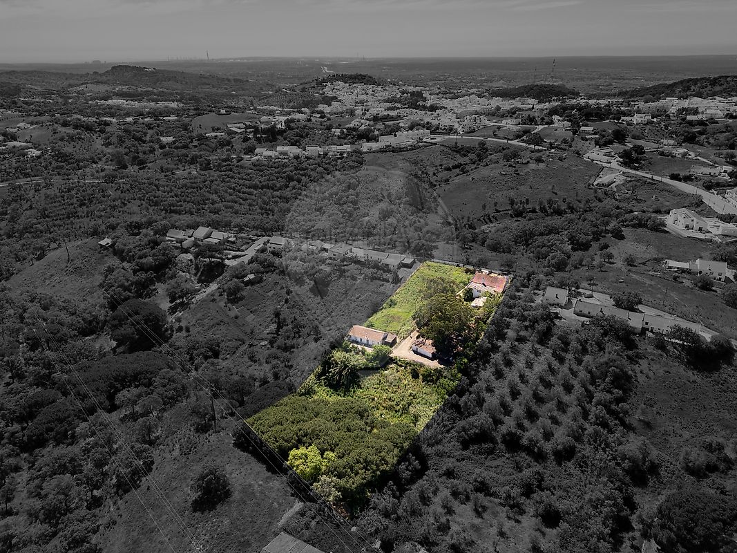 Quinta - Santiago do Cacém, Santa Cruz e São Bartolomeu da Serra, Santiago do Cacém, Setúbal