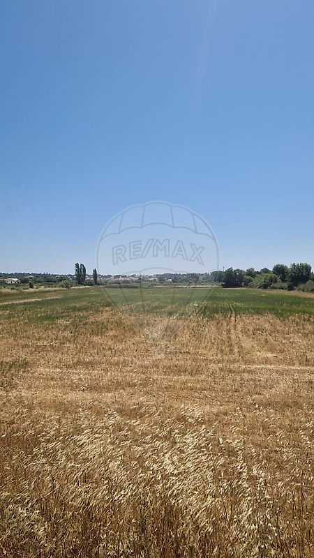 Terreno - Santo André, Santiago do Cacém, Setúbal