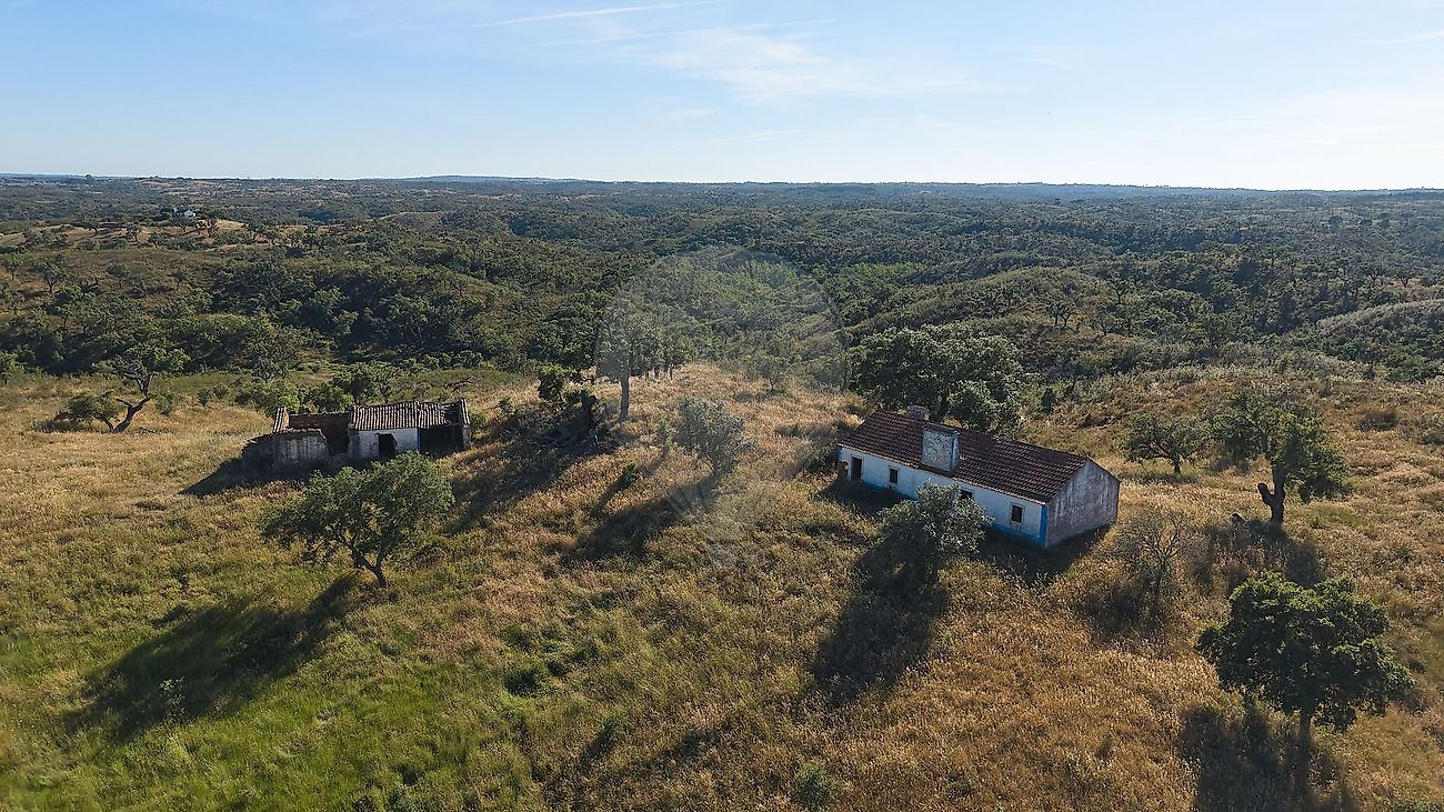 Quinta - Santiago do Cacém, Santa Cruz e São Bartolomeu da Serra, Santiago do Cacém, Setúbal