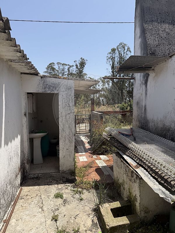 Moradia T2 à venda em Alcácer do Sal (Santa Maria do Castelo e Santiago) e Santa Susana, Alcácer do Sal — foto 9