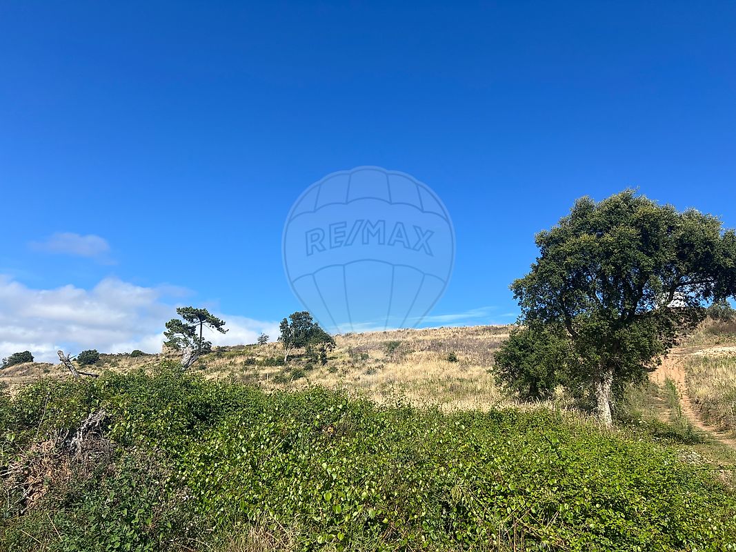 listing 121701488-14 picture-0