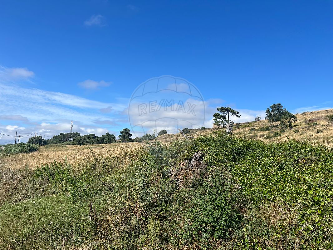 listing 121701488-14 picture-0