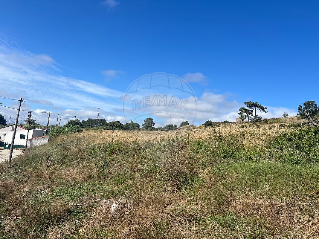 listing 121701488-14 picture-0