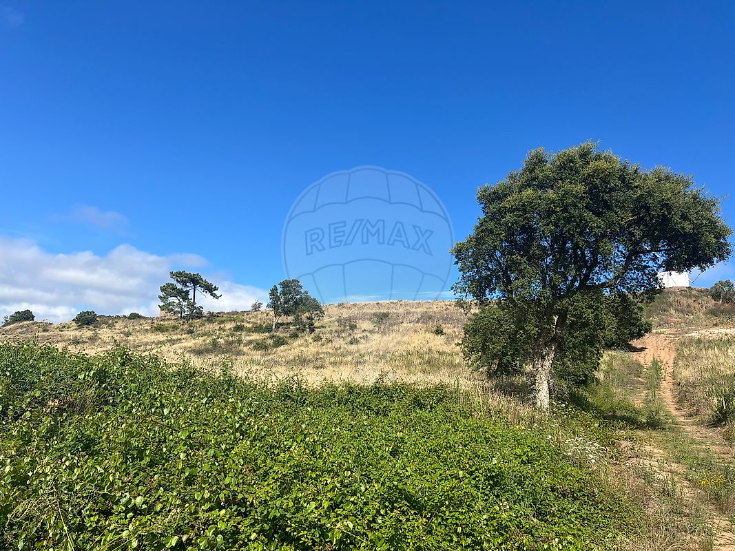 listing 121701488-14 picture-0