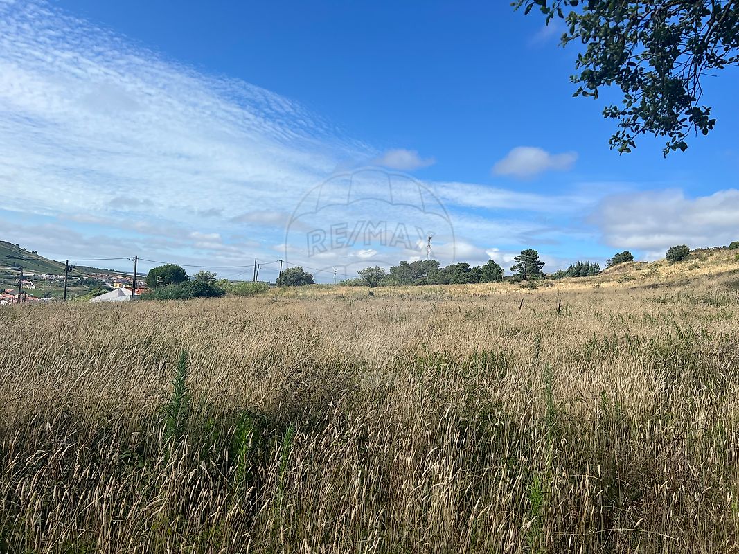 listing 121701488-14 picture-0