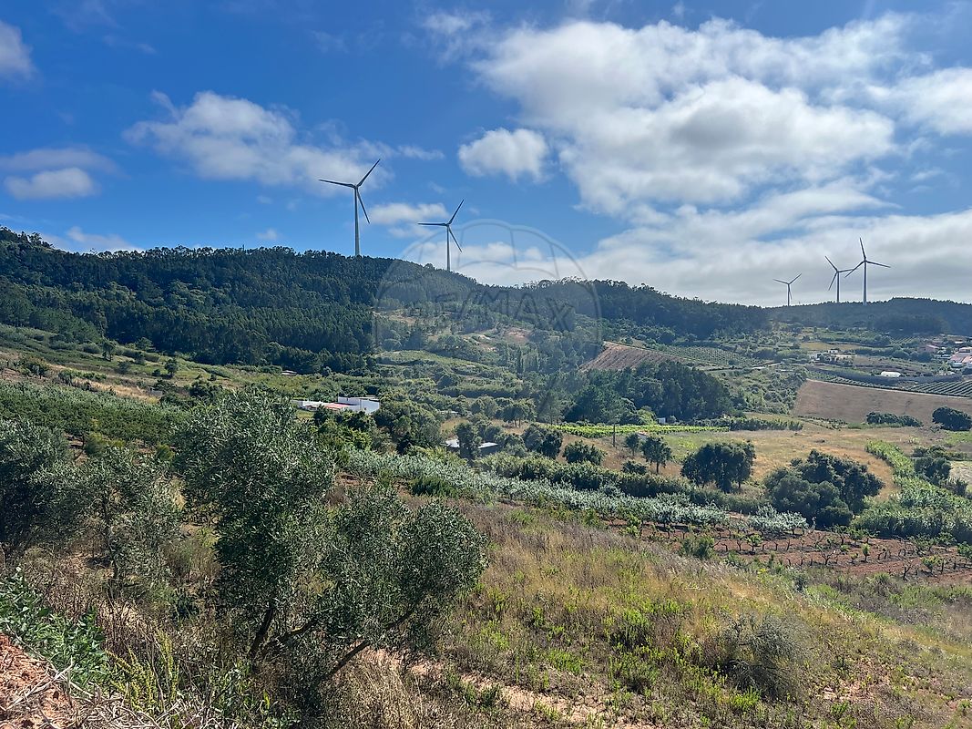 listing 121701488-14 picture-0