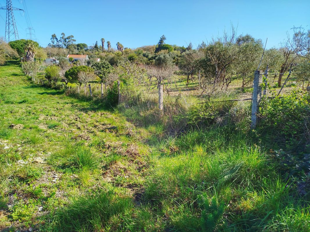 listing-picture-0