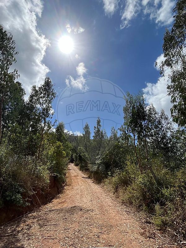 Terreno - Maçãs de Dona Maria, Alvaiázere, Leiria