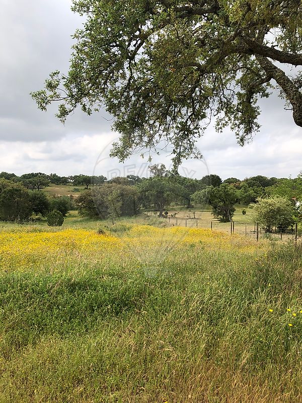 Land for sale in Benavente, Portugal — €120,000