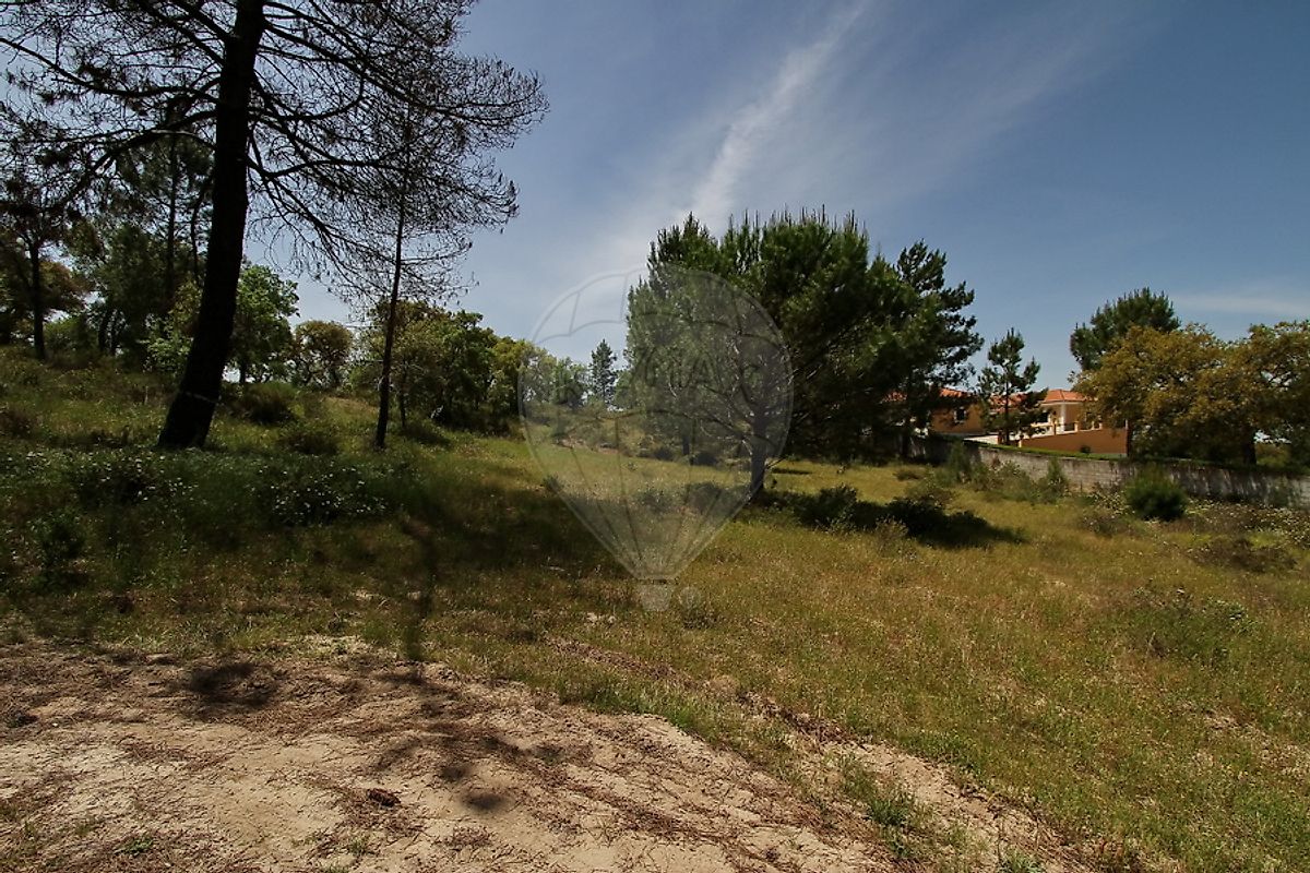 Terreno à venda em Benavente