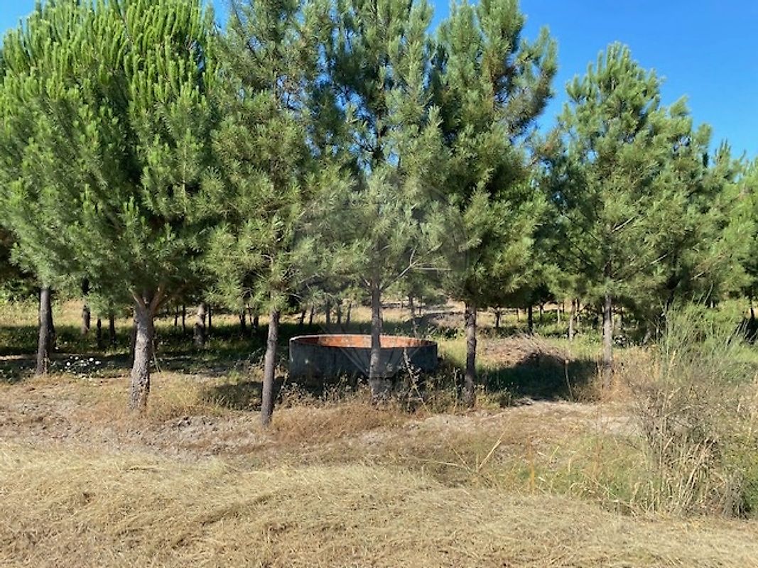 Terreno à venda em Coruche