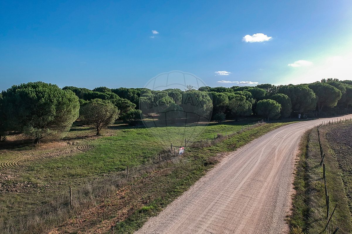 Terreno à venda em Benavente