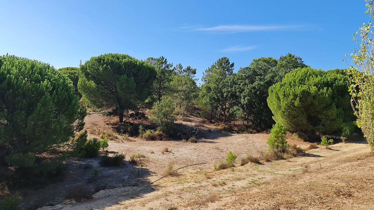Land for sale in Benavente, Portugal — €215,000