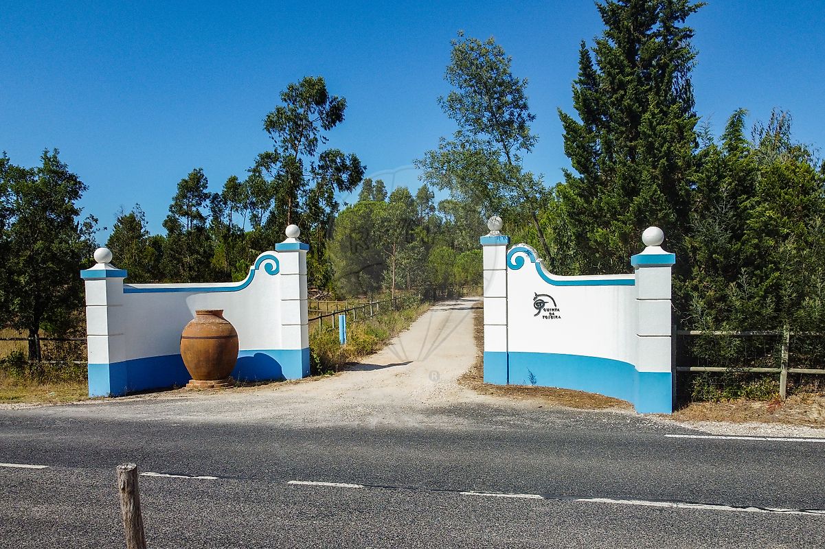 Land for sale in Benavente, Portugal — €123,000