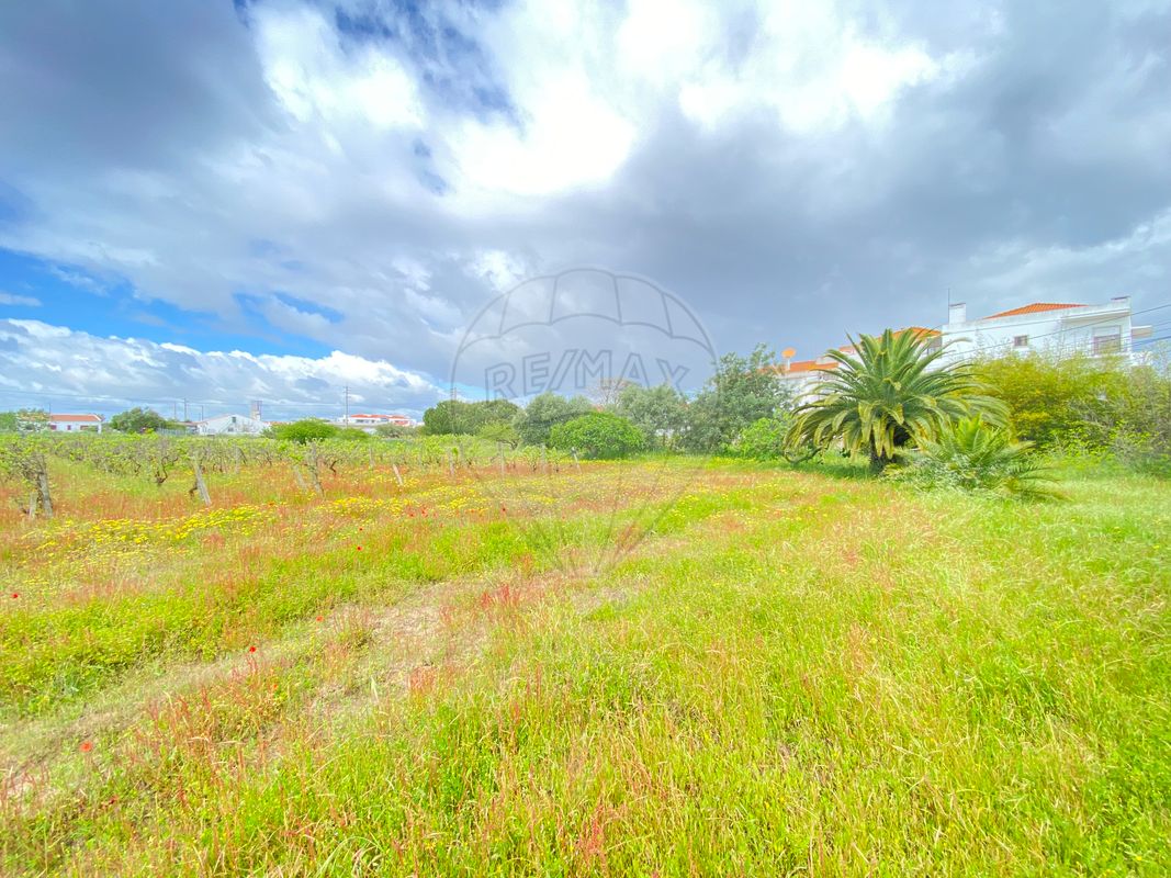 listing-picture-0