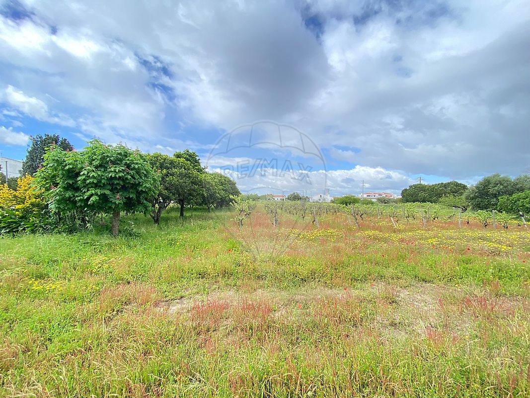 listing-picture-0